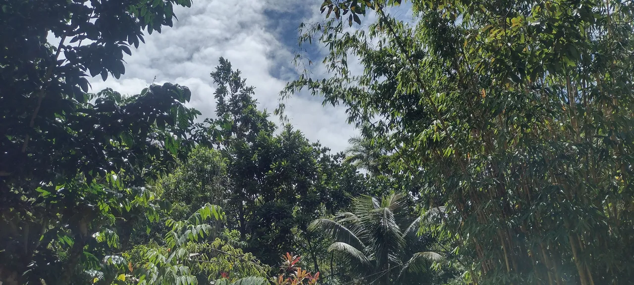 IMG_20230715_140015156_HDR.jpg