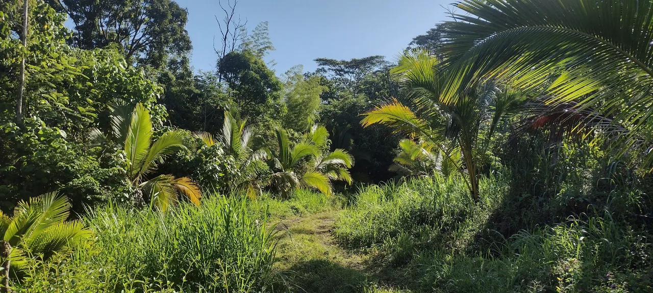 IMG_20231006_082245998_HDR.jpg
