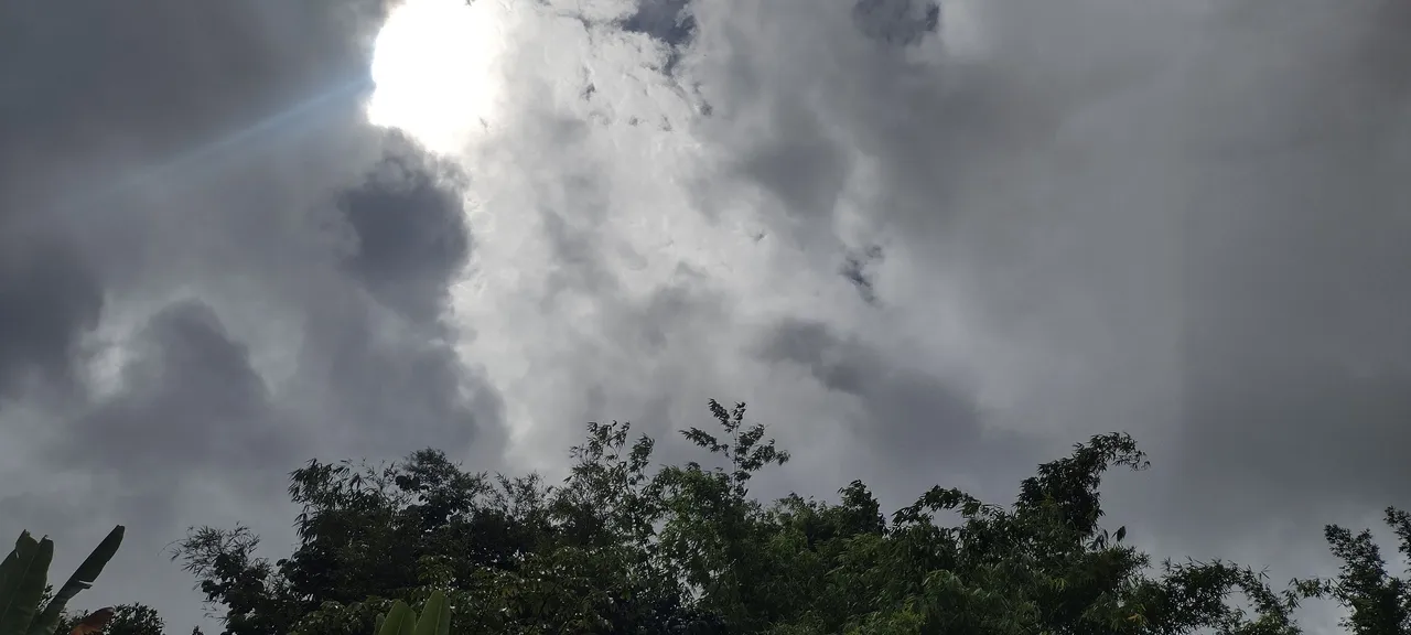IMG_20230821_152717819_HDR.jpg