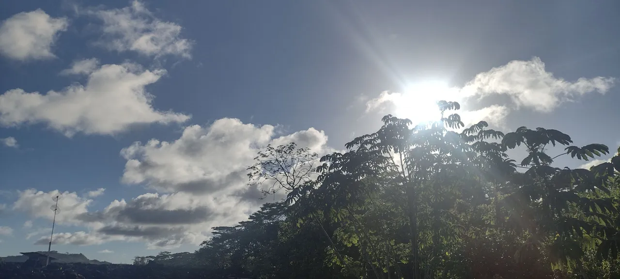 IMG_20221025_161957469_HDR.jpg