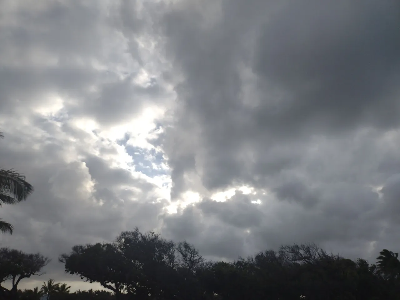 IMG_20220424_171628247.jpg