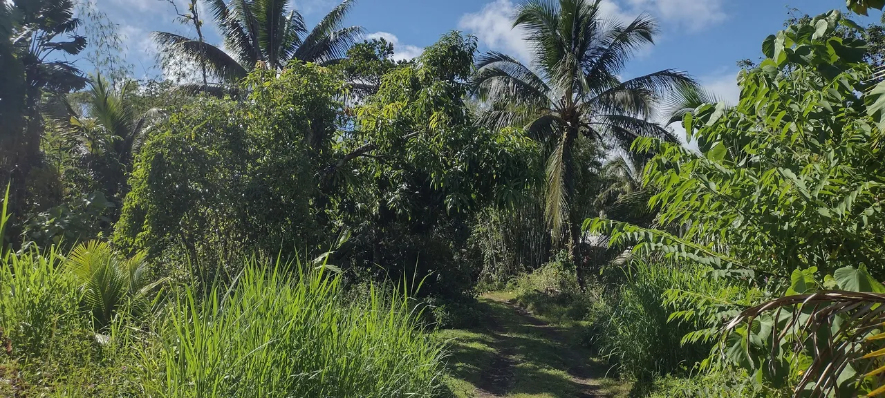 IMG_20231015_143642922_HDR.jpg