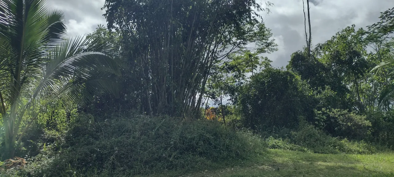 IMG_20231115_104944724_HDR.jpg