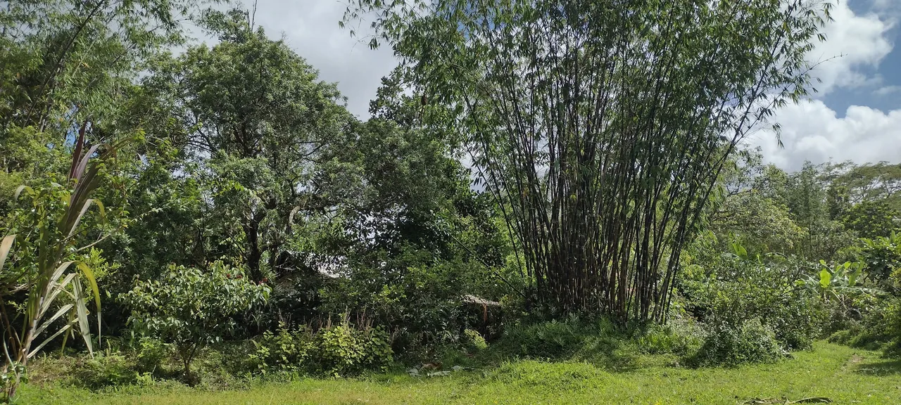 IMG_20230608_145323175_HDR.jpg
