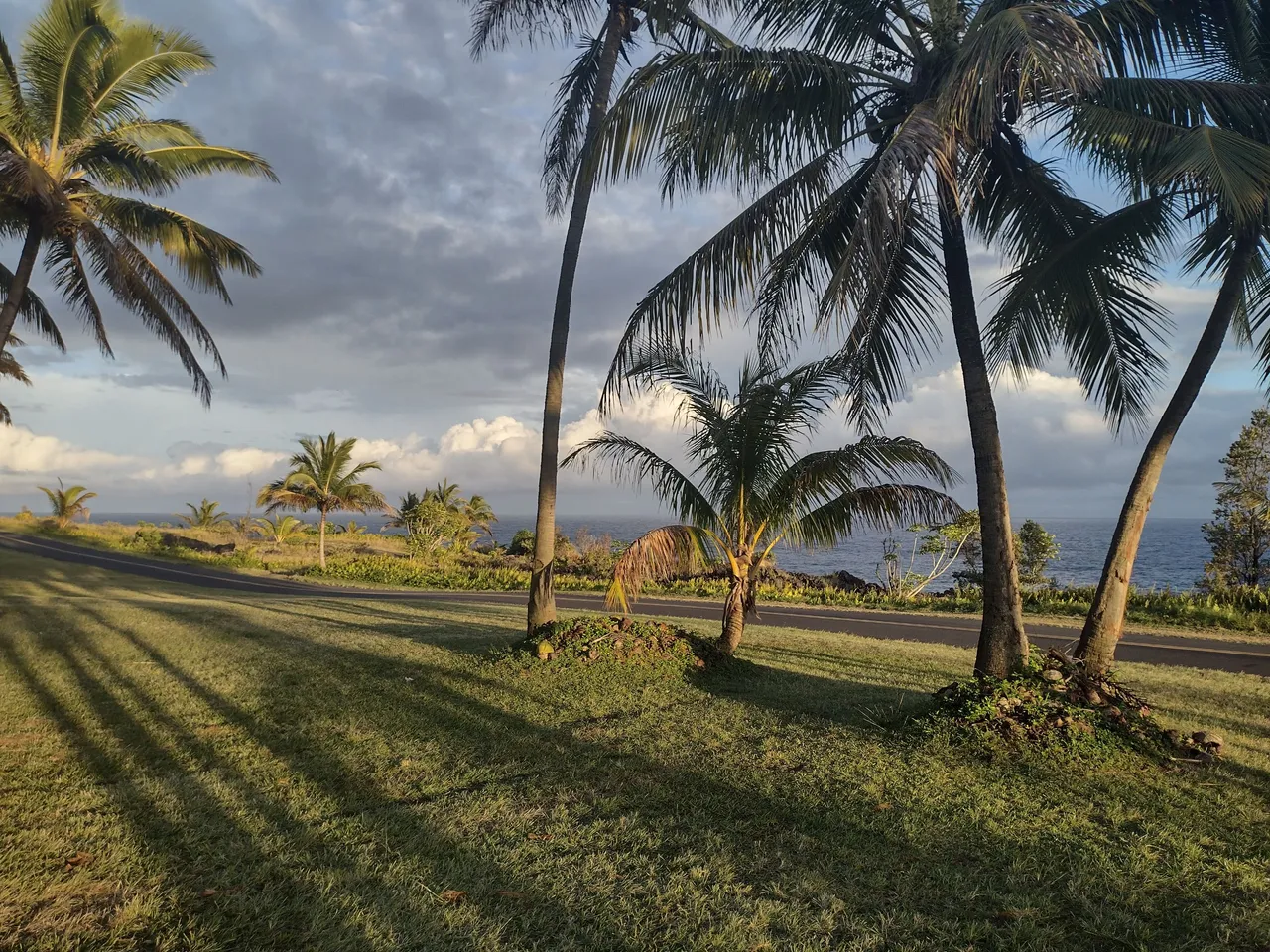 IMG_20220216_175023681_HDR.jpg