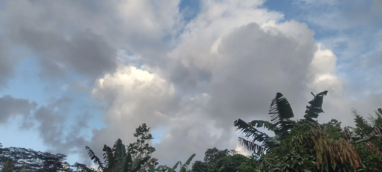 IMG_20230811_181116308_HDR.jpg