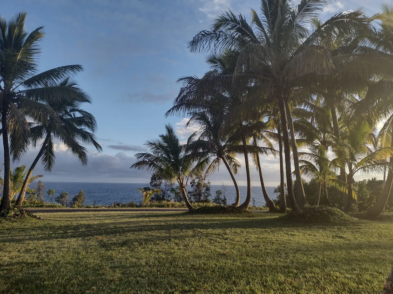 IMG_20220216_174813049_HDR.jpg