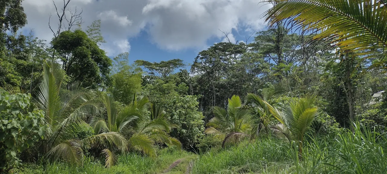 IMG_20231003_105232360_HDR.jpg