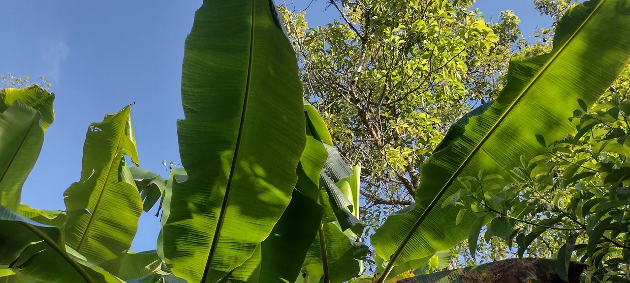 IMG_20230710_075910755_HDR.jpg