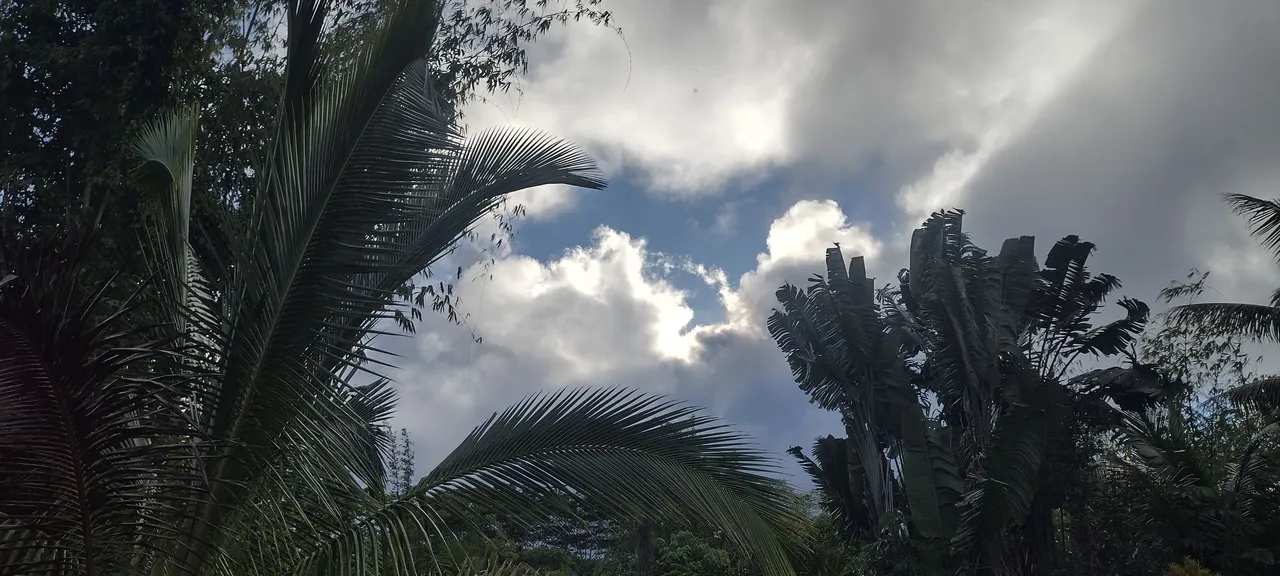 IMG_20231008_163114010_HDR.jpg