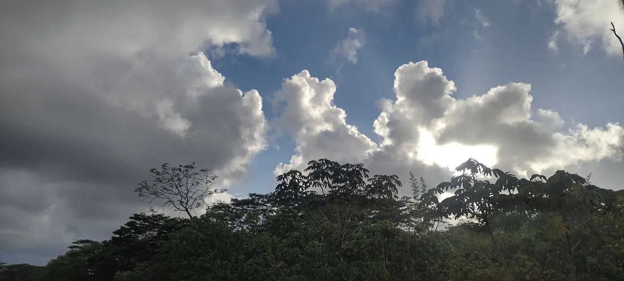 IMG_20230917_171459696_HDR.jpg