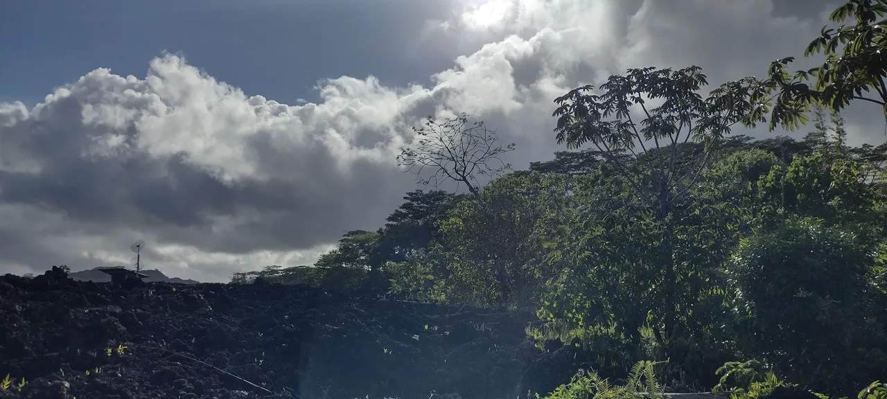 IMG_20231115_152335528_HDR.jpg
