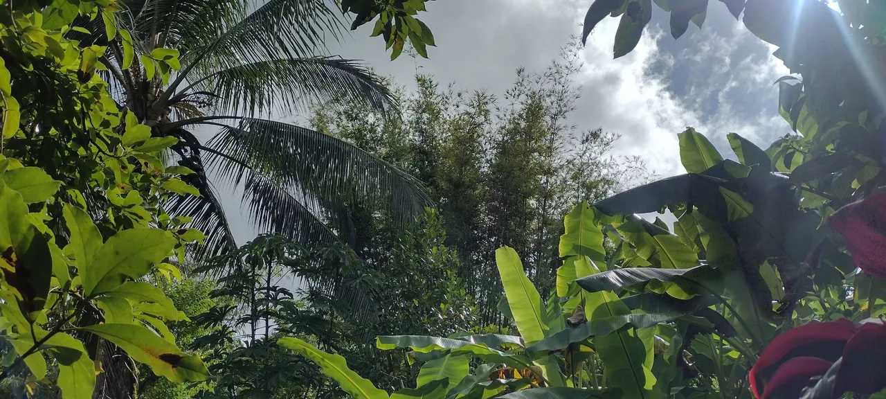 IMG_20230710_160858177_HDR.jpg