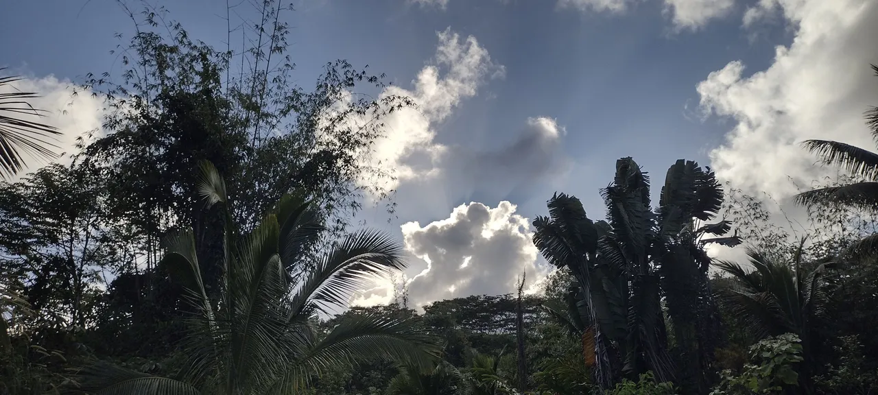 IMG_20240103_162825347_HDR.jpg