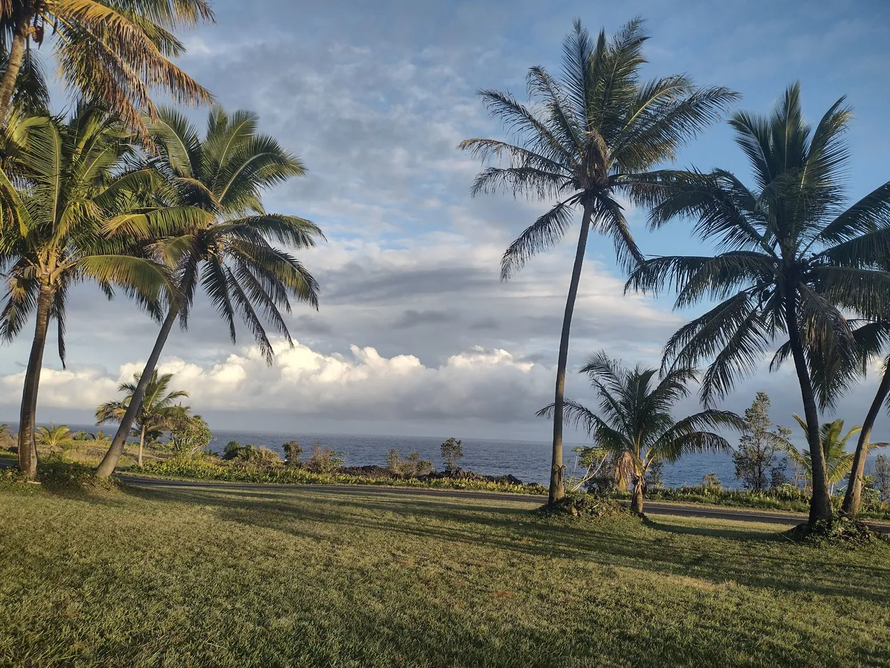 IMG_20220216_174806752_HDR.jpg