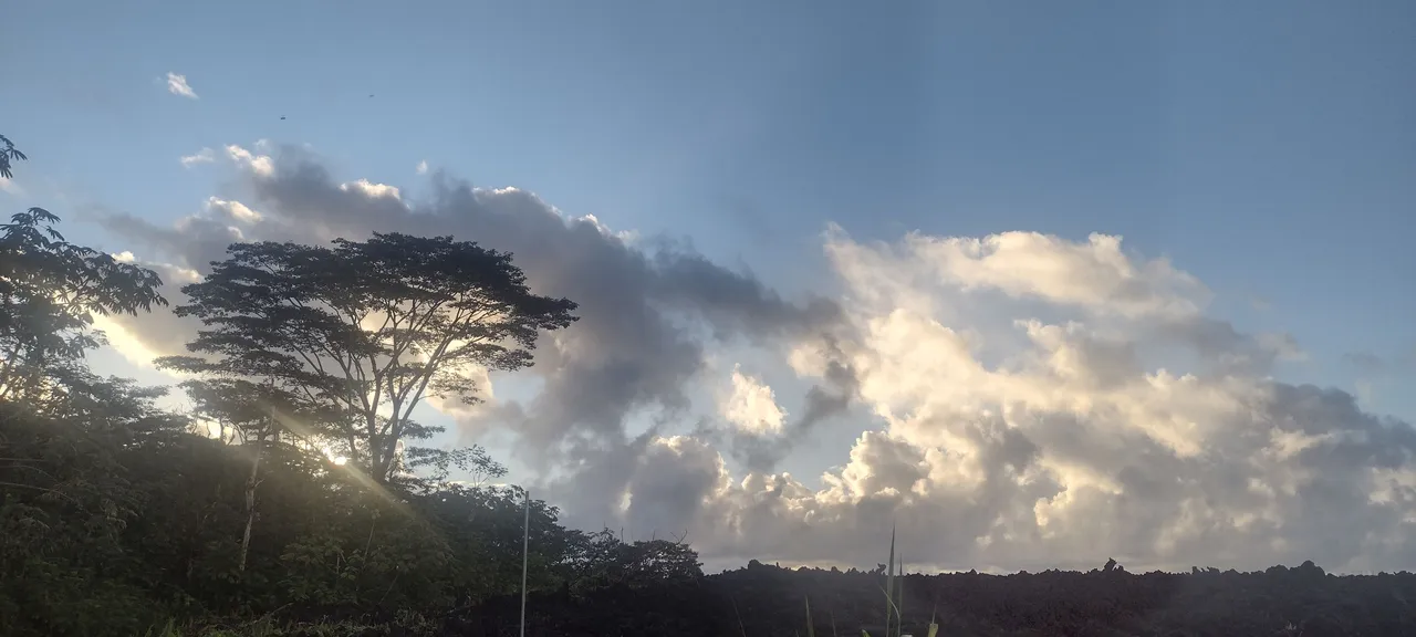 IMG_20221028_064823262_HDR.jpg