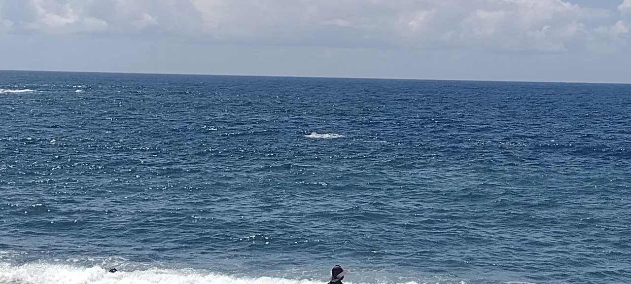 IMG_20220607_105826215.jpg