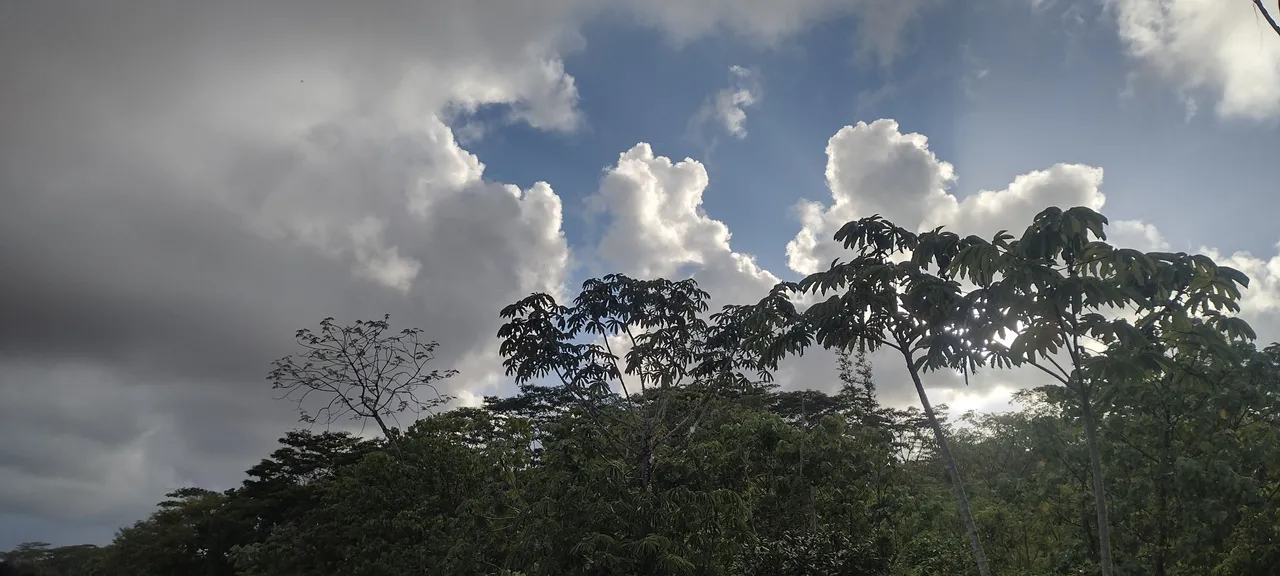 IMG_20230917_171510087_HDR.jpg