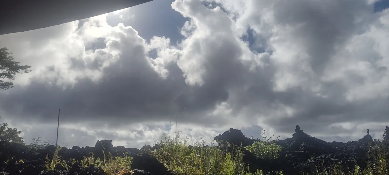 IMG_20221231_092939615_HDR.jpg