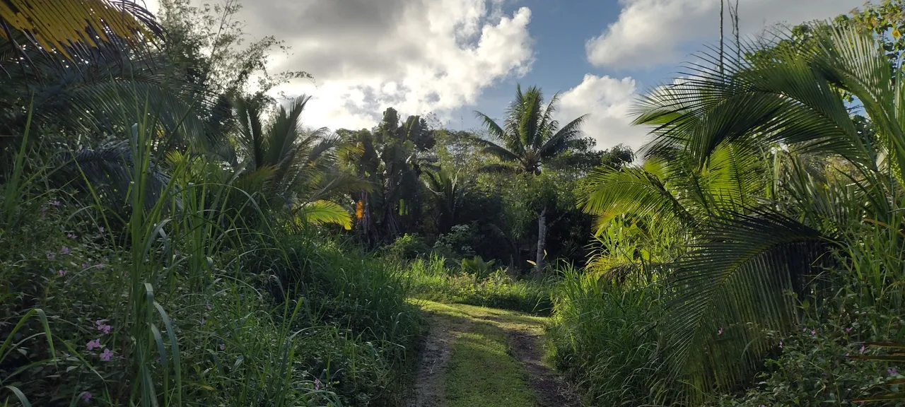 IMG_20240103_164250207_HDR.jpg