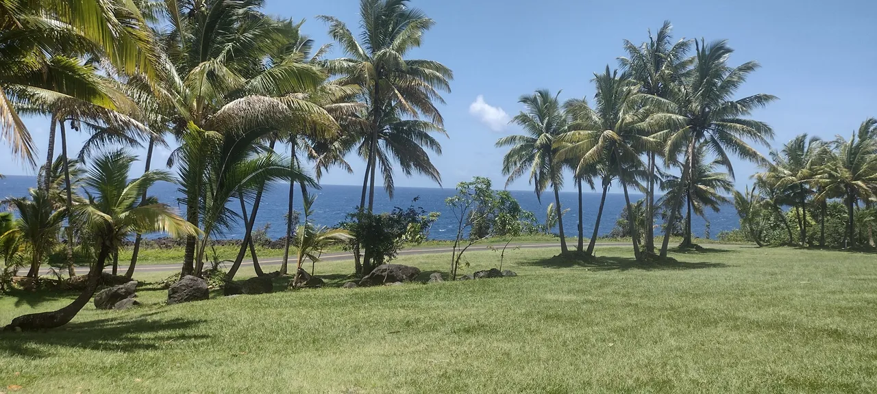 IMG_20220511_113725057_HDR.jpg