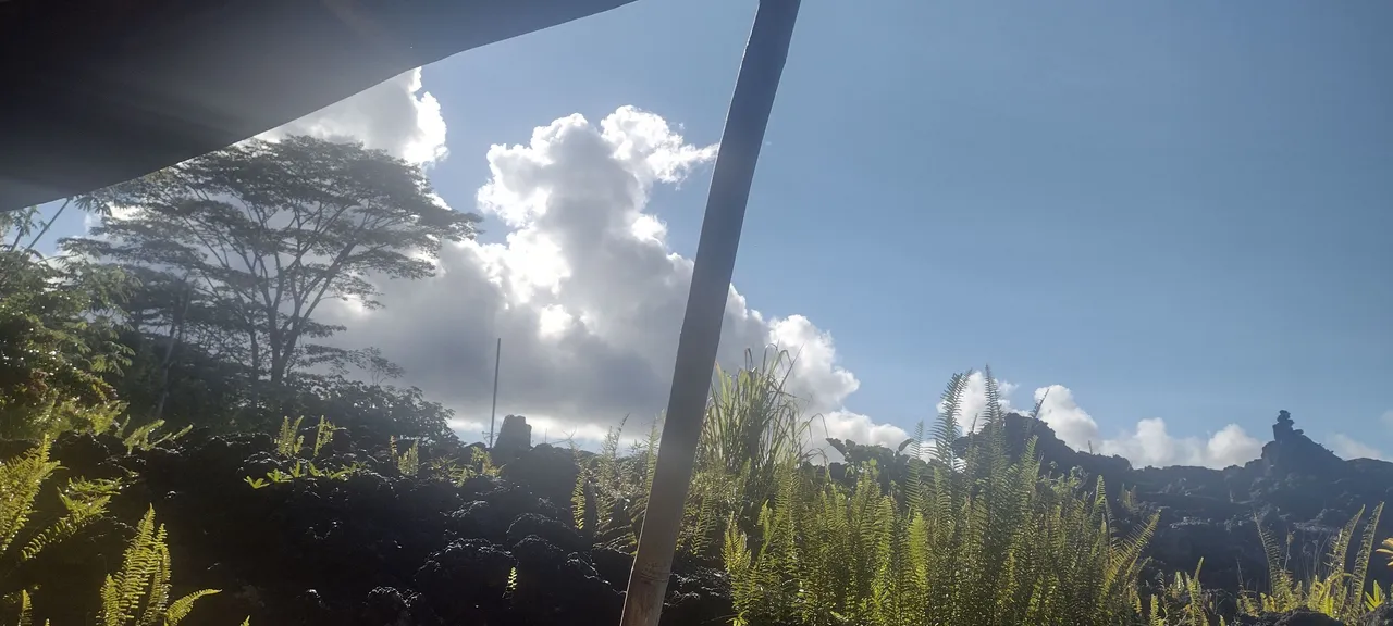 IMG_20221018_081125780_HDR.jpg