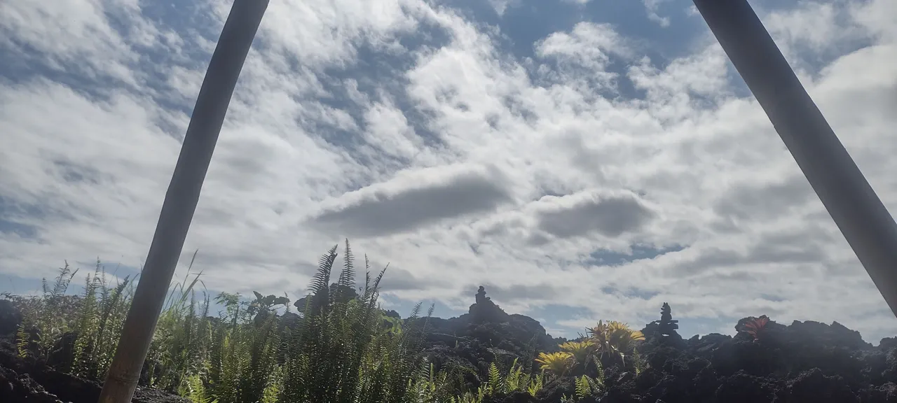 IMG_20221216_111752670_HDR.jpg