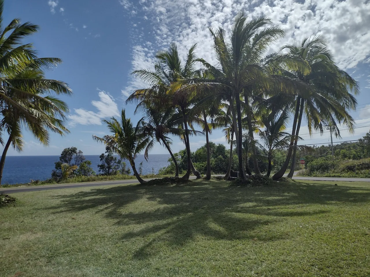 IMG_20220216_144048547_HDR.jpg