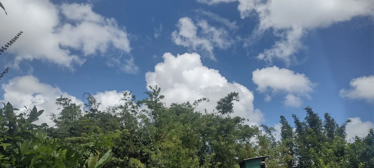 IMG_20230701_105218620_HDR.jpg