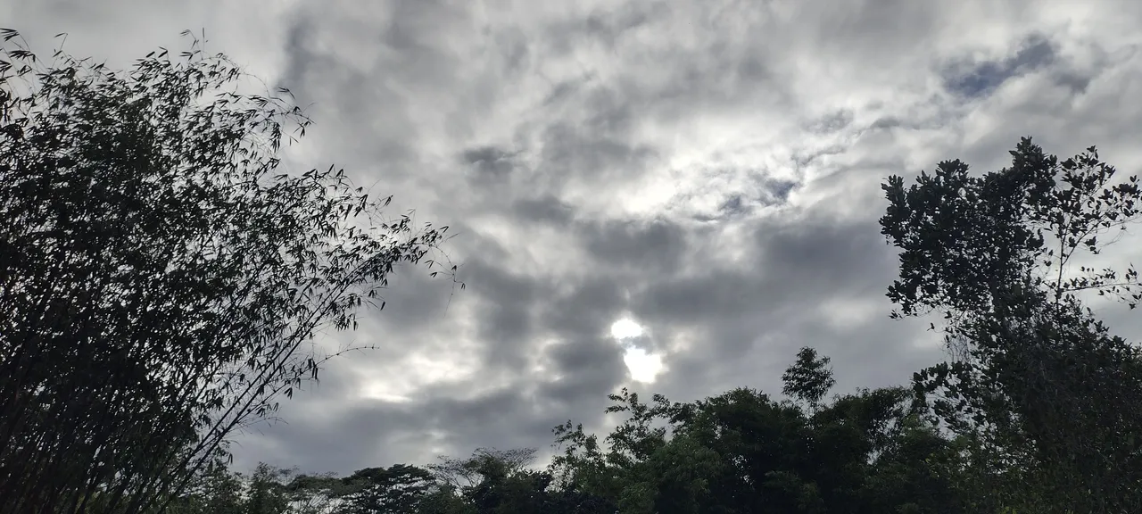 IMG_20230923_164946280_HDR.jpg