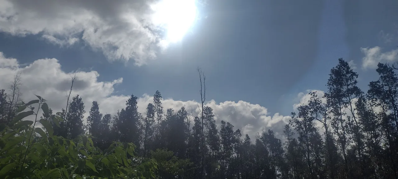 IMG_20221010_085635363_HDR.jpg