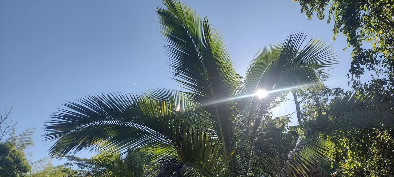 IMG_20231015_081155241_HDR.jpg