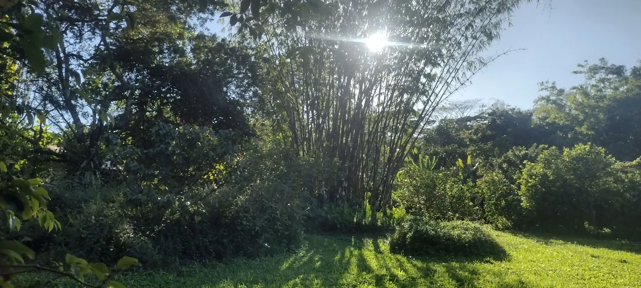 IMG_20231031_161254177_HDR.jpg