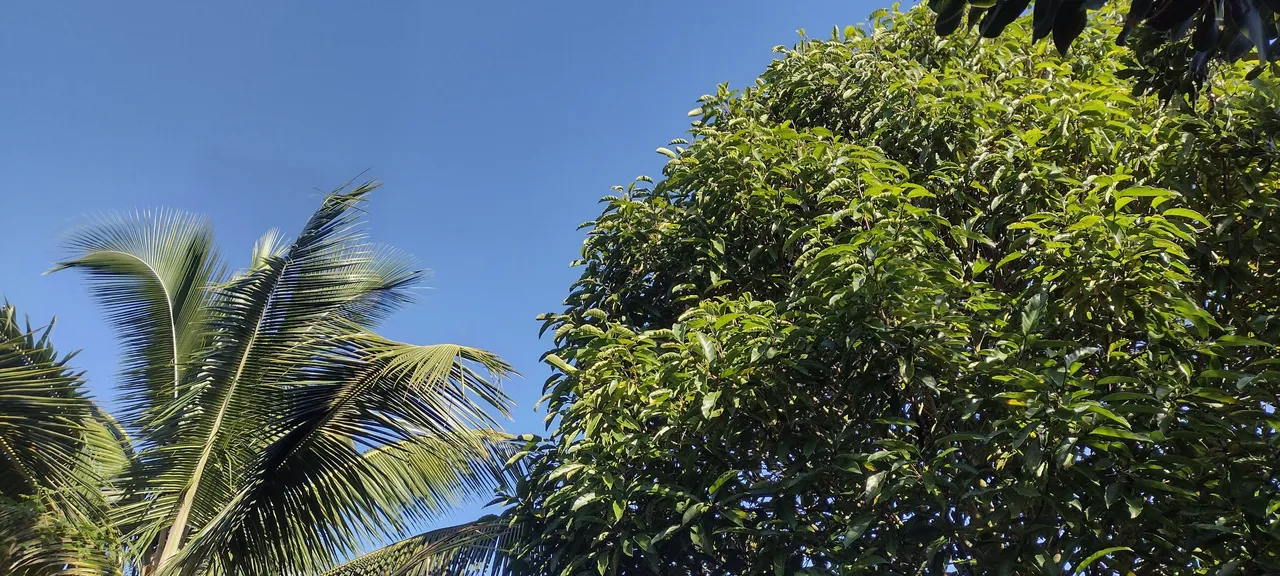 IMG_20240129_094009629_HDR.jpg