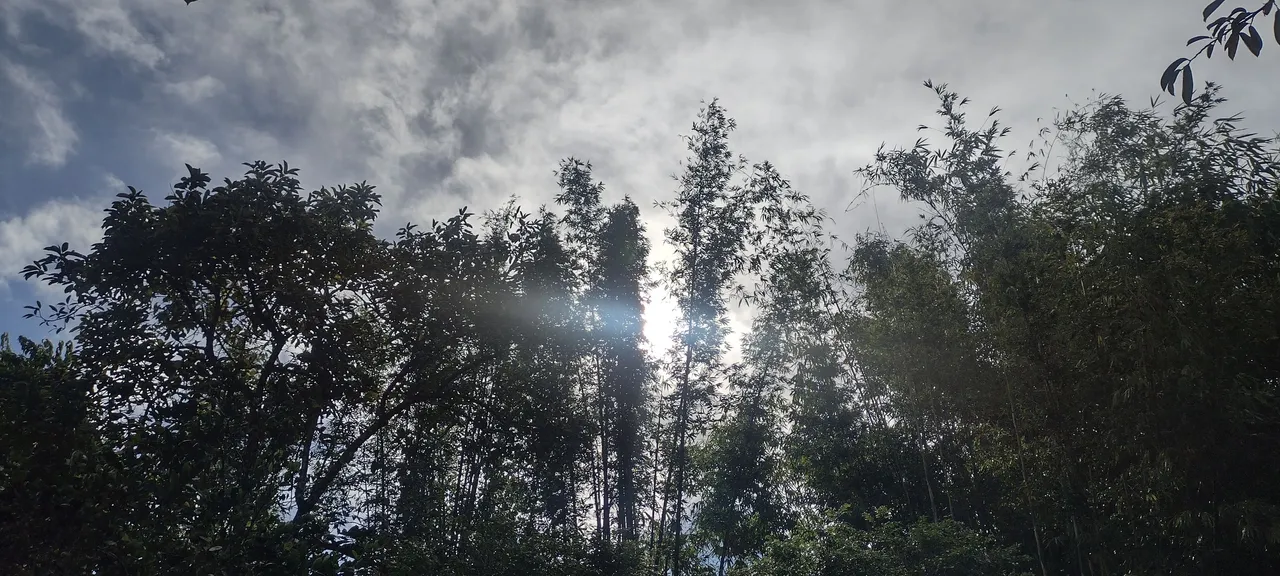 IMG_20231209_092009019_HDR.jpg