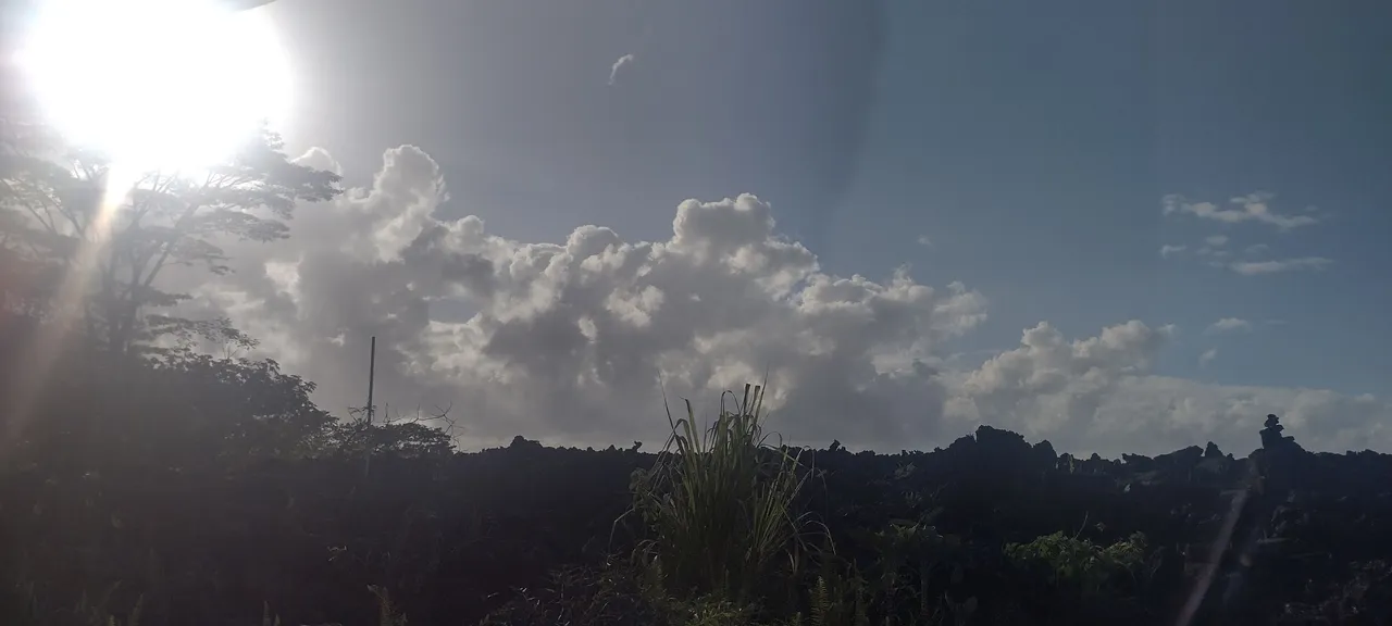 IMG_20221023_074556660_HDR.jpg