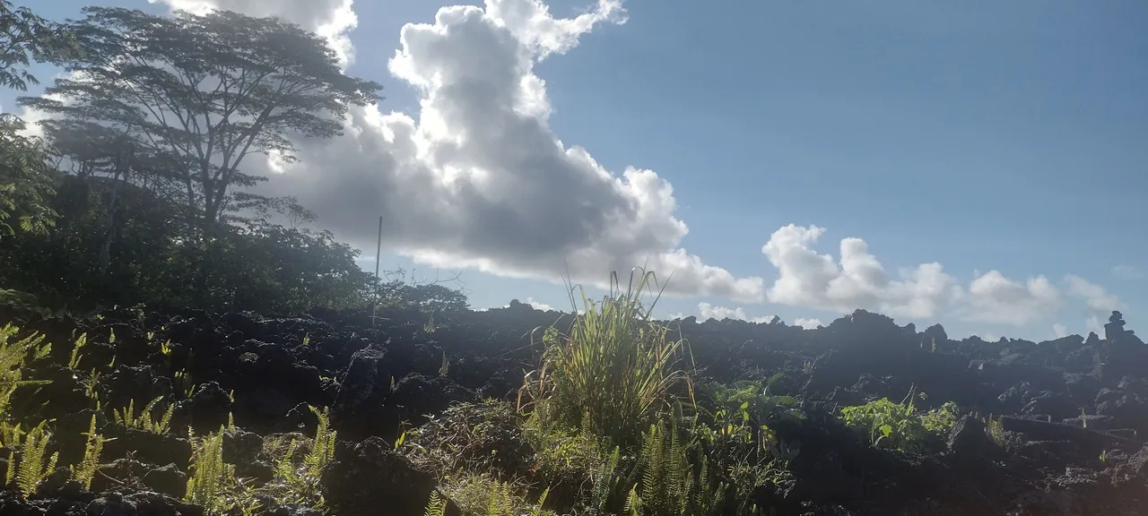 IMG_20221018_081051889_HDR.jpg