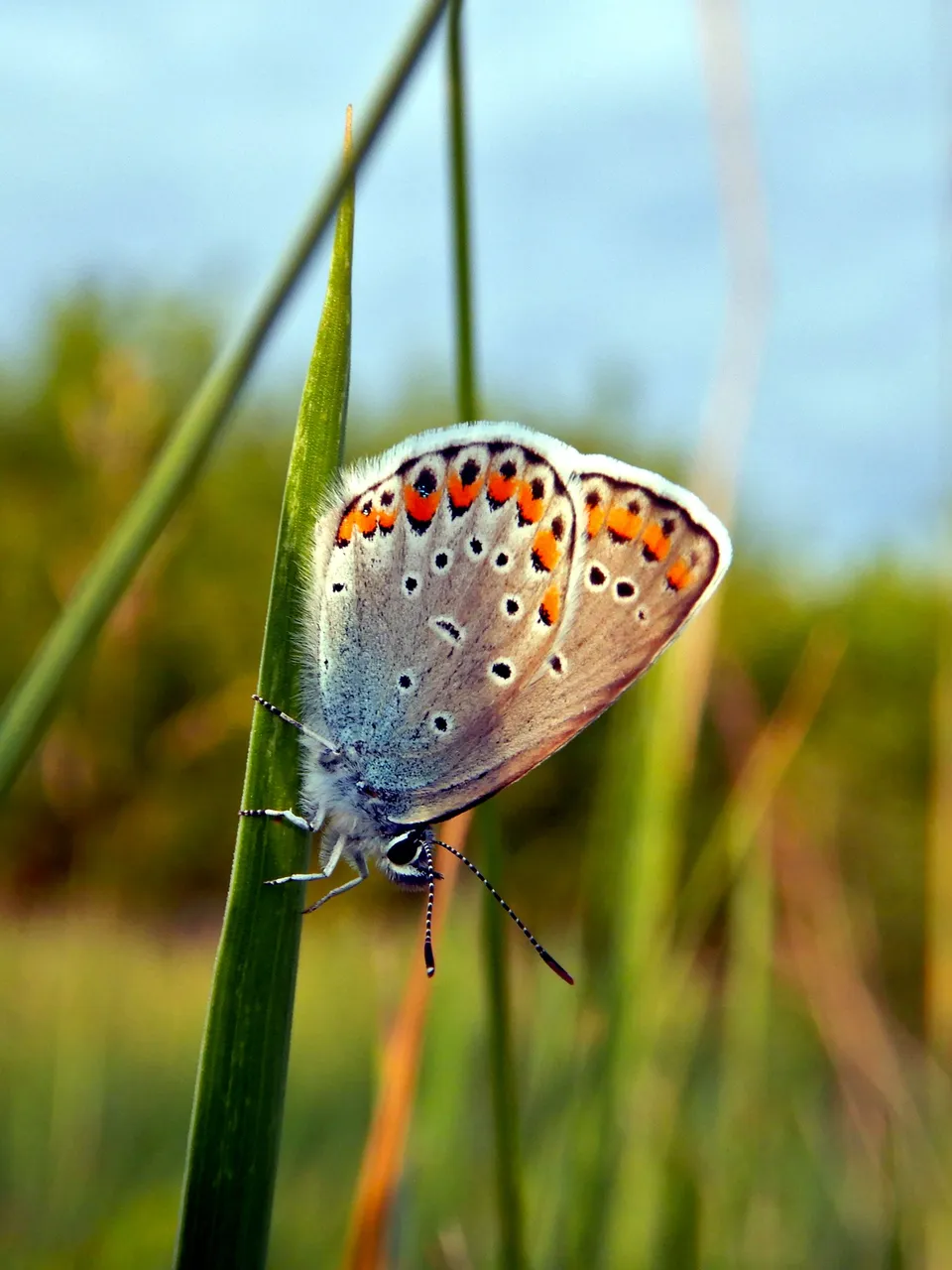 DSCN2091.JPG