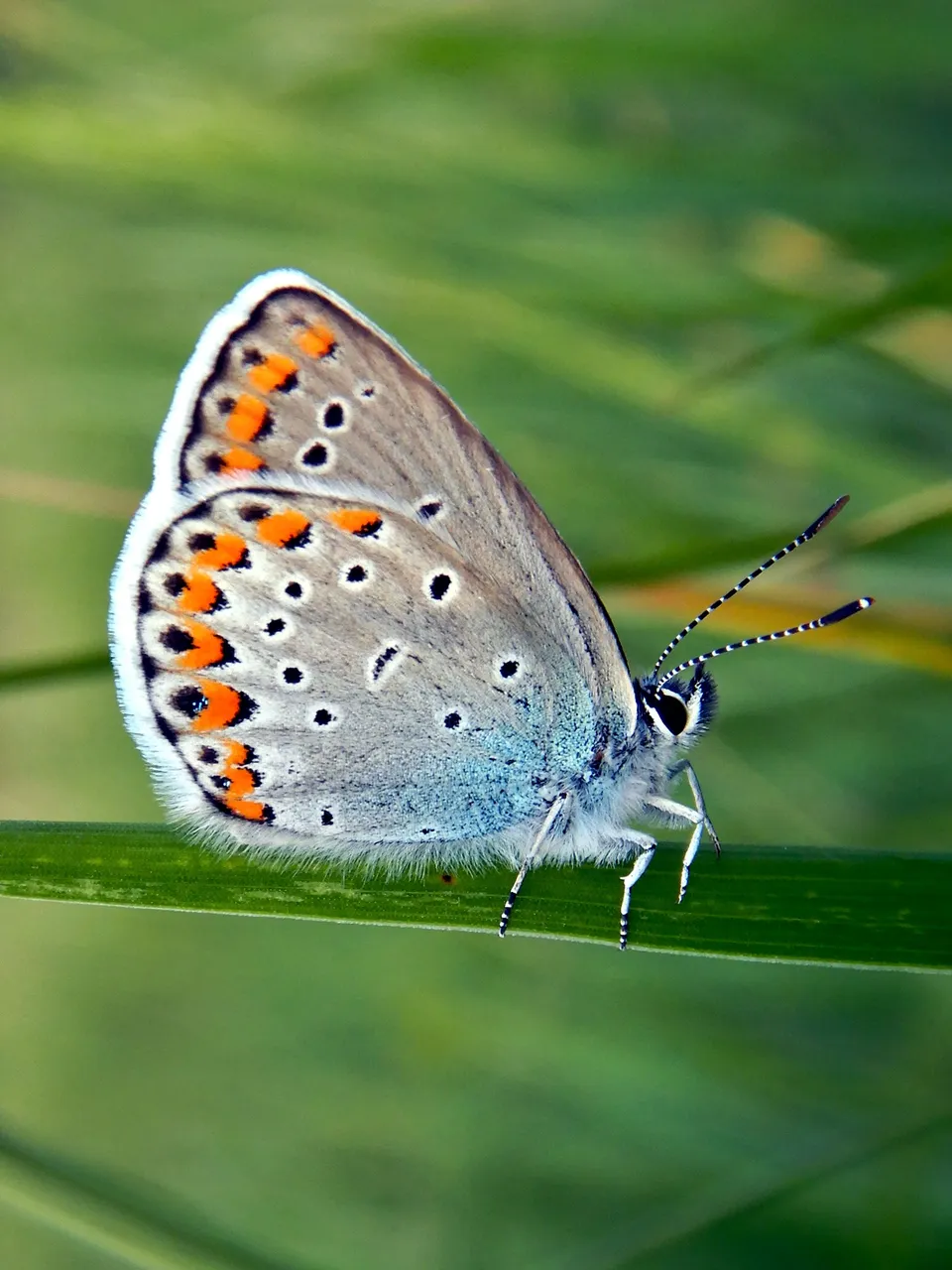 DSCN2098.JPG