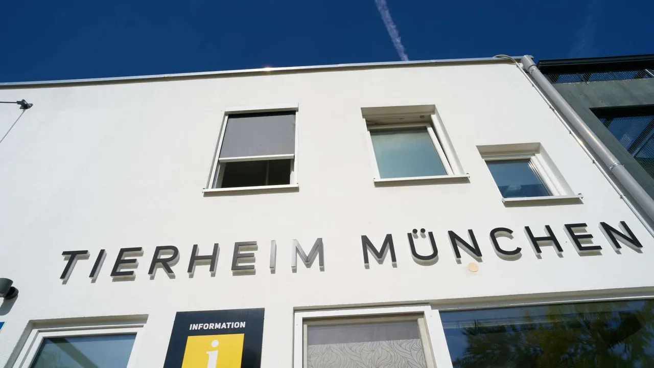 38495109-uebersicht-hauptgebaeude-was-passiert-vor-den-sommerferien-ein-tag-im-tierheim-tierheim-muenchen-august-2024-foto-jens-hartmann-1NMH-3826020101.jpg