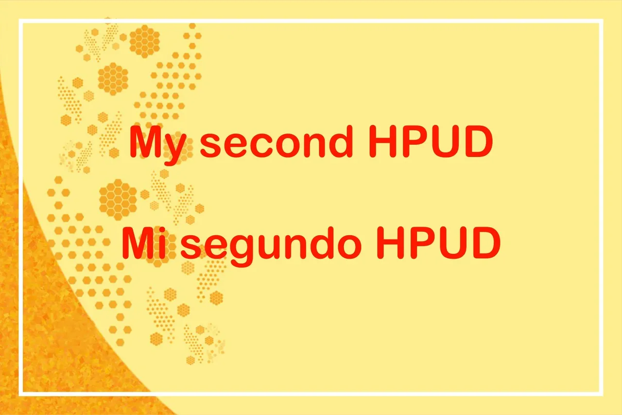 Sin título-4.jpg