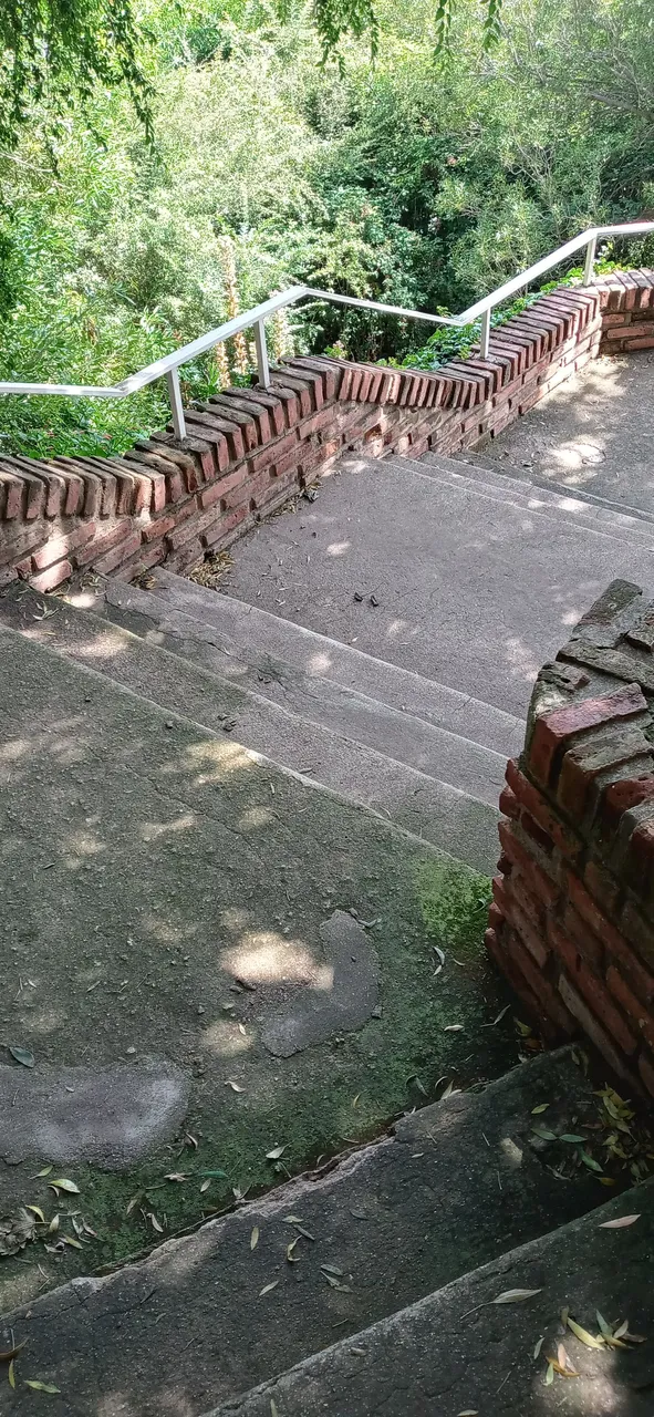 20220124_152434_HDR.jpg