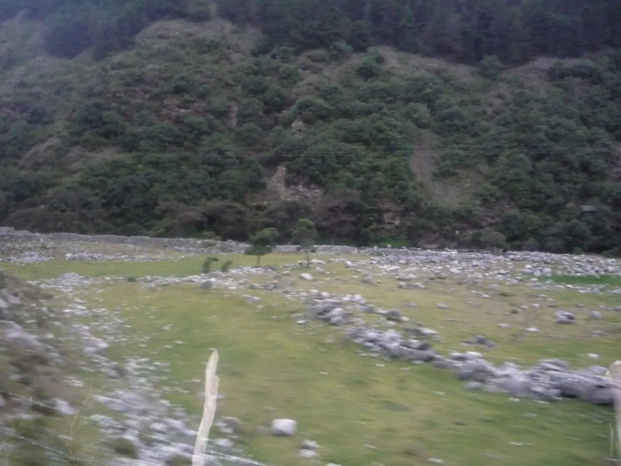 P1290182.JPG