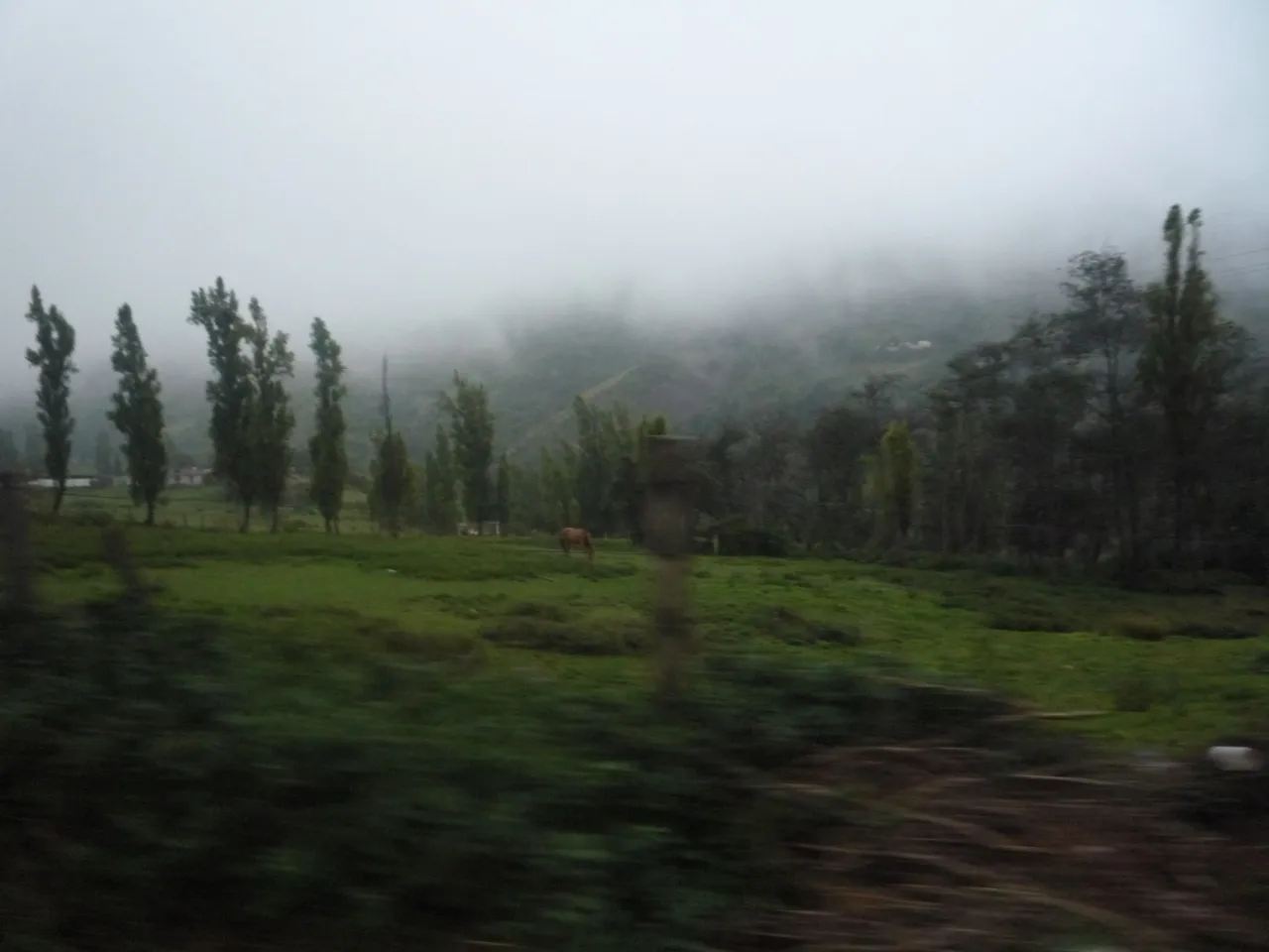 P1290176.JPG