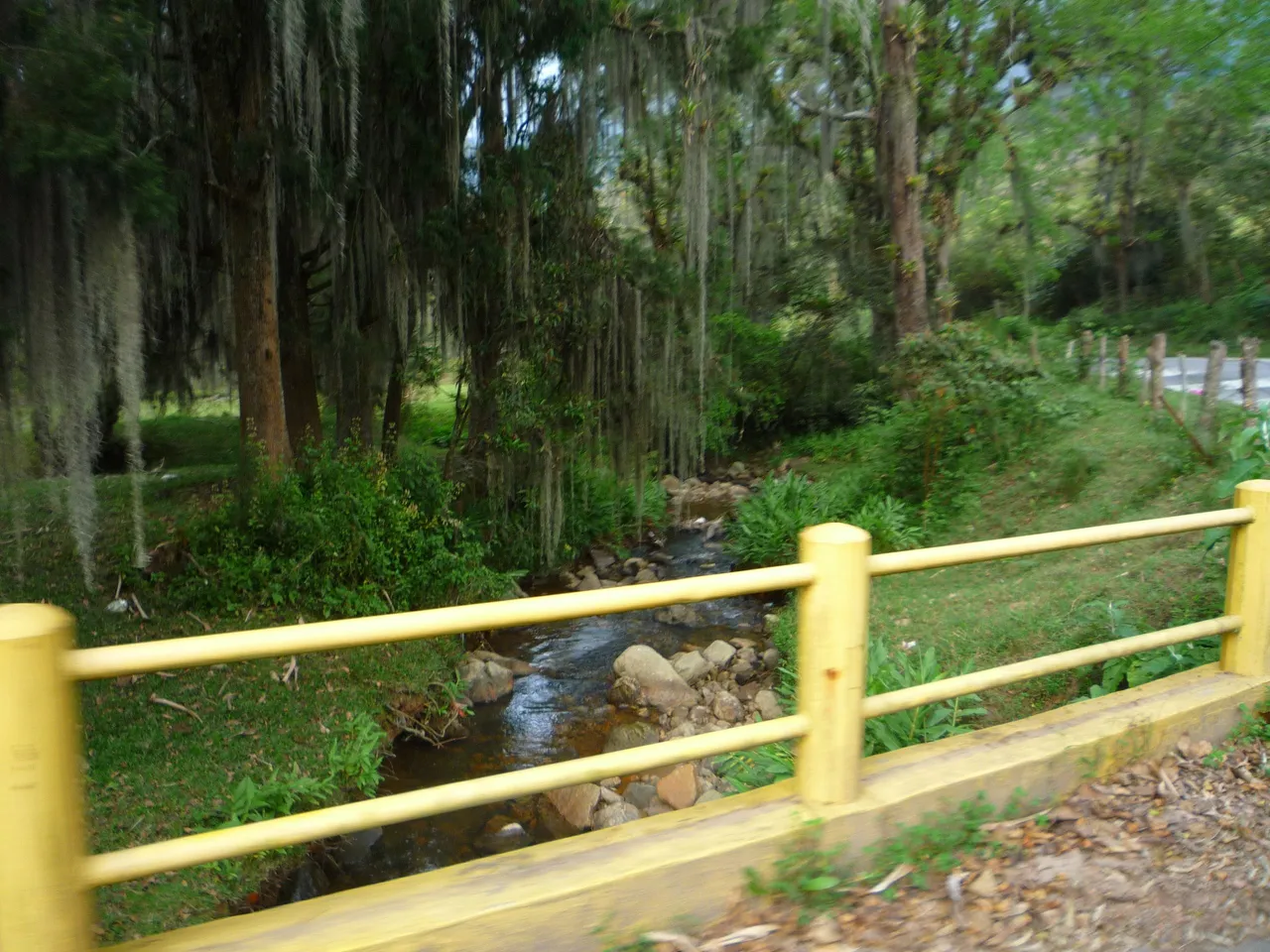 P1300619.JPG