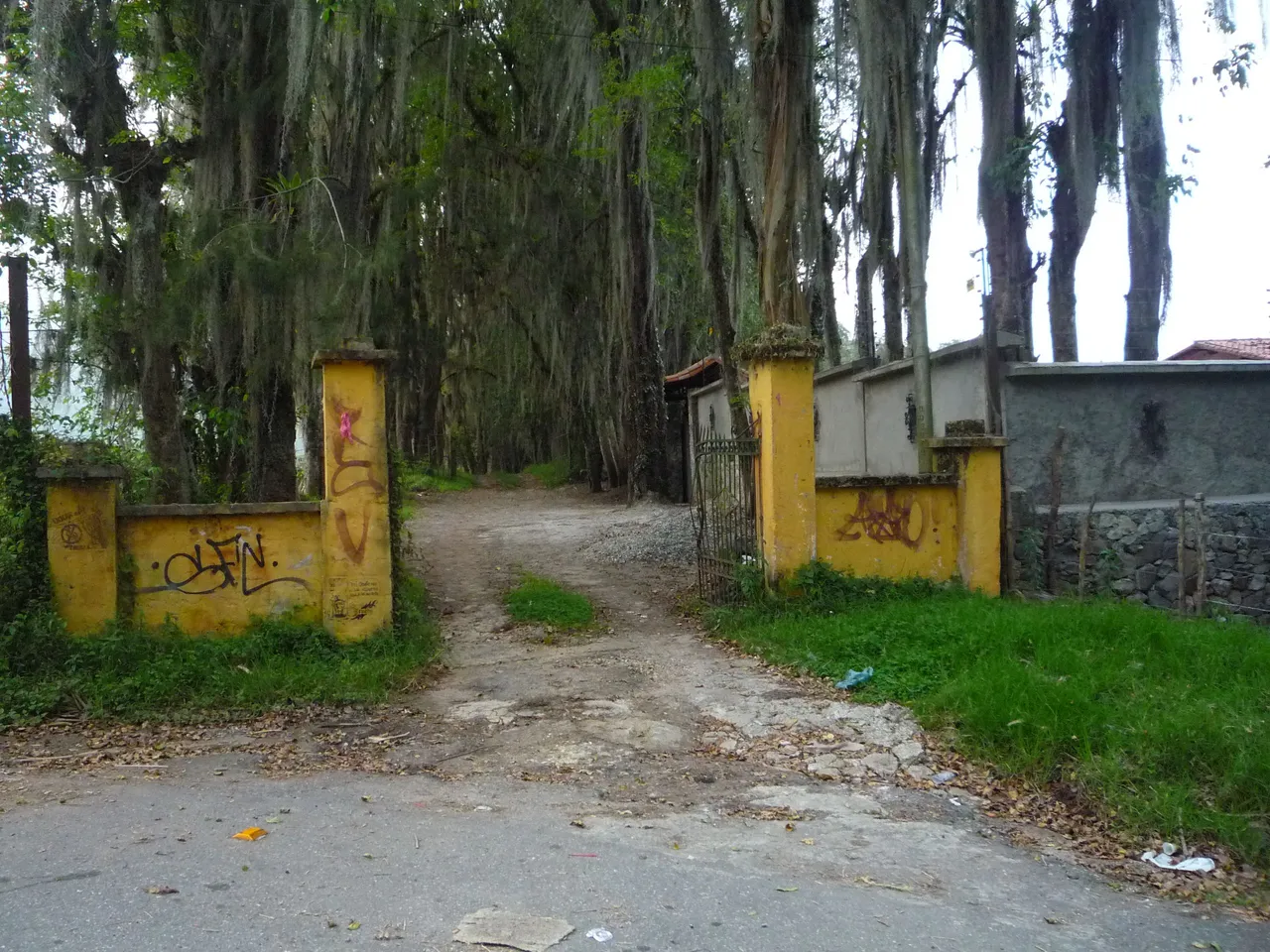P1300620.JPG