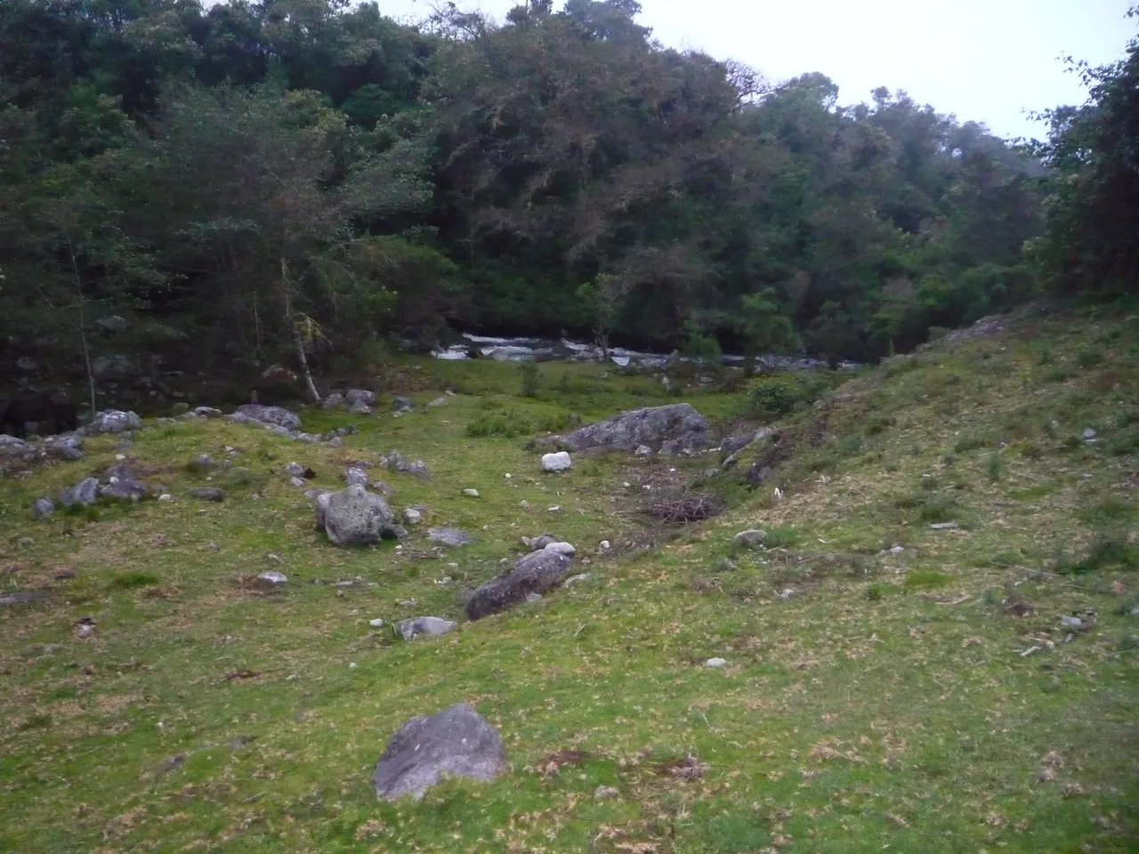 P1300670.JPG