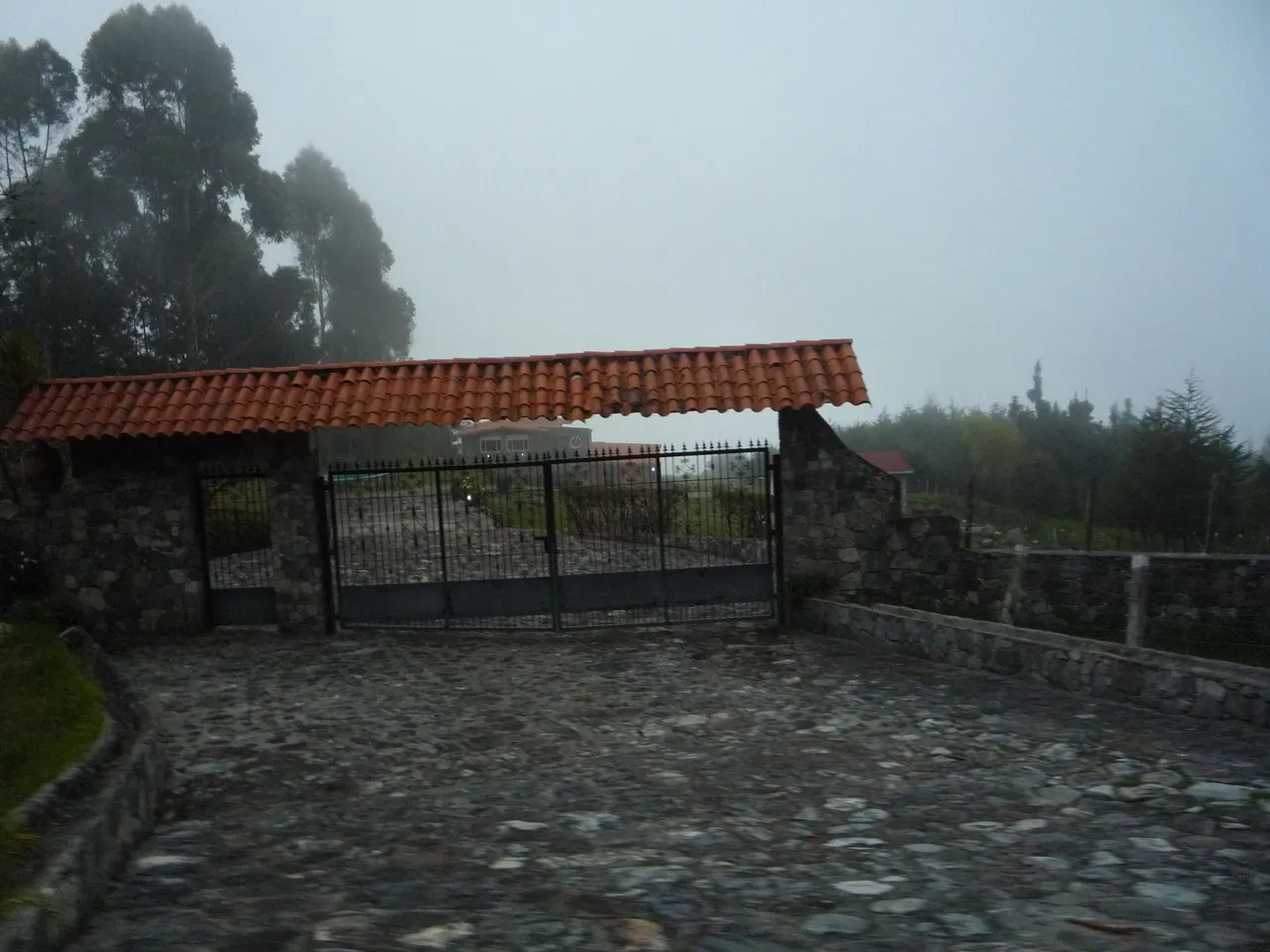 P1300655.JPG