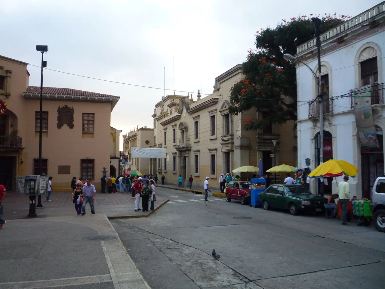P1300535.JPG