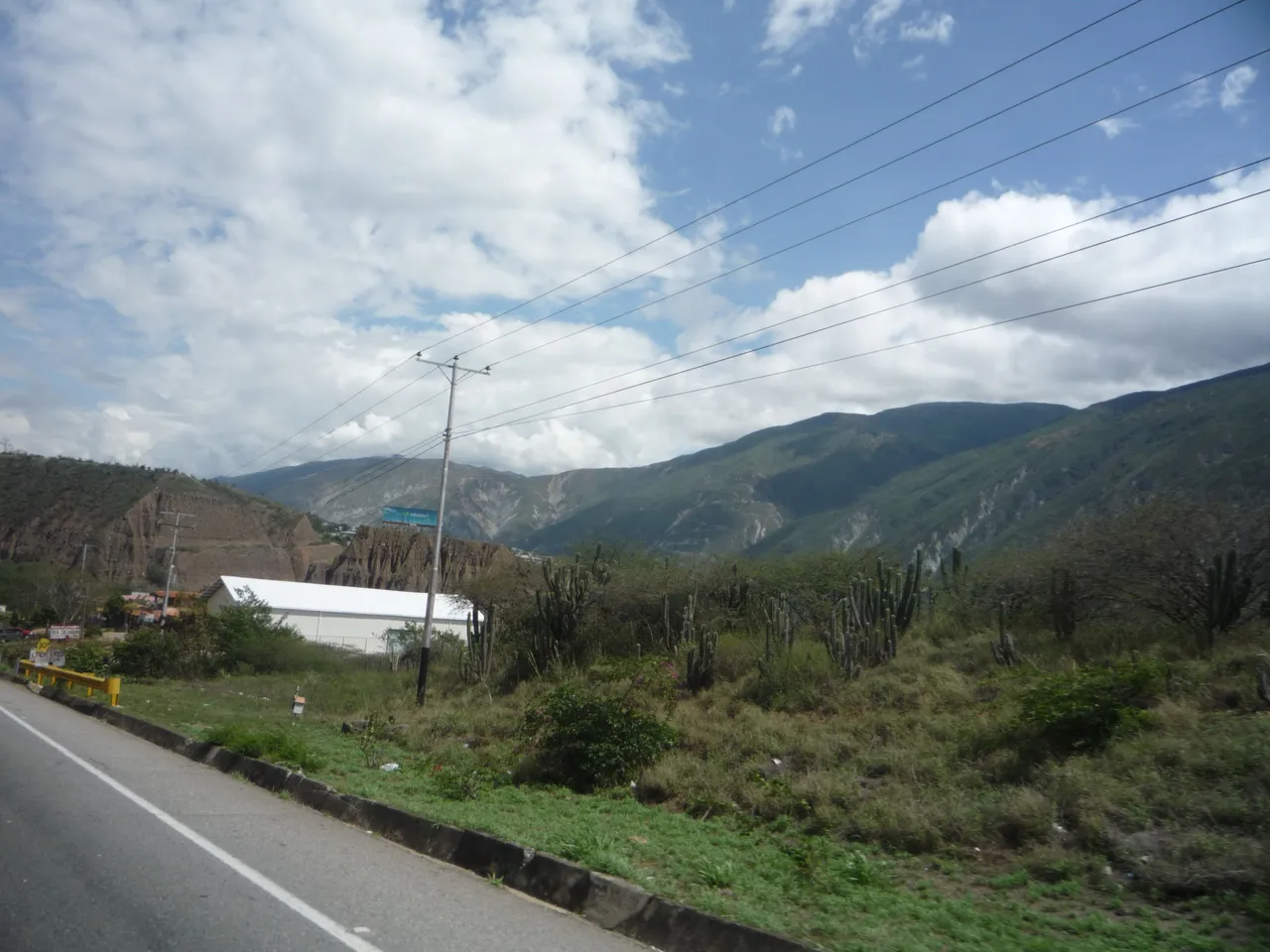 P1290158.JPG